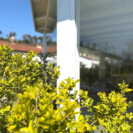 Le Village سارزانا المظهر الخارجي الصورة