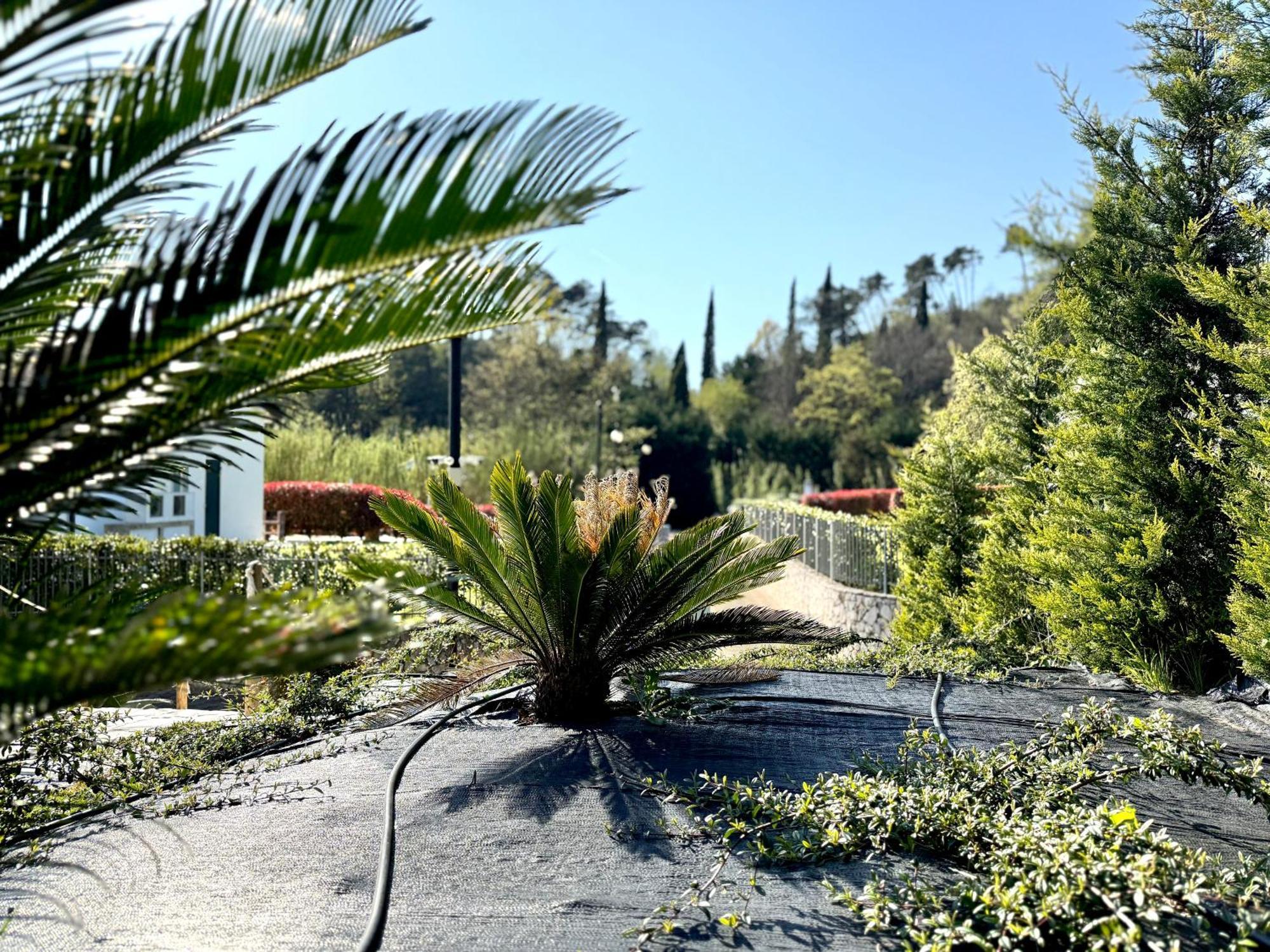 Le Village سارزانا المظهر الخارجي الصورة